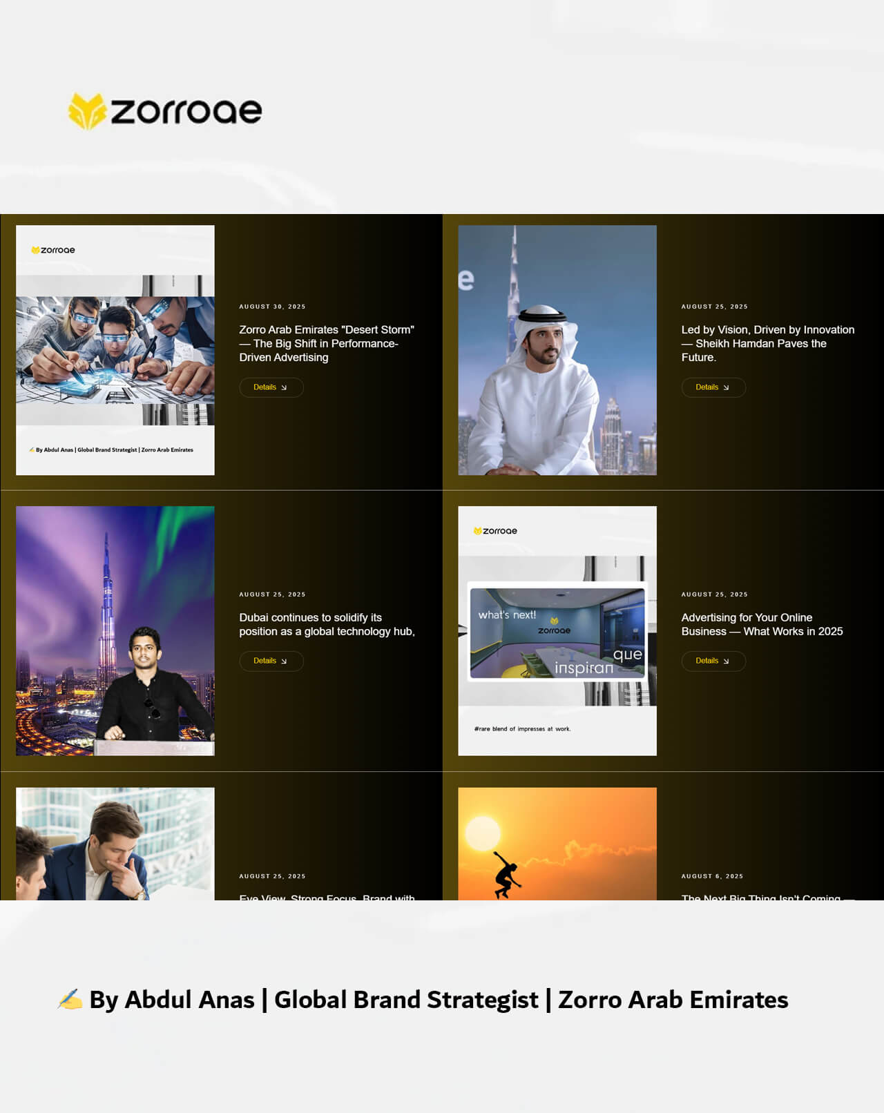 Zorro Arab Emirates innovation leadership visual showing strategic connectivity and digital infrastructure