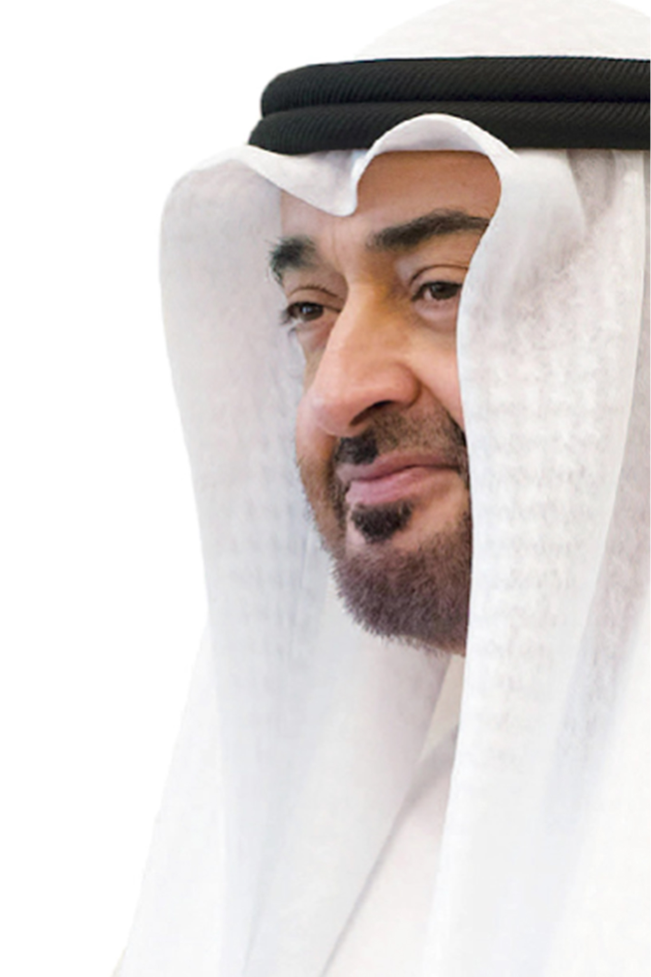 Zorro digital strategy experts in Dubai, UAE